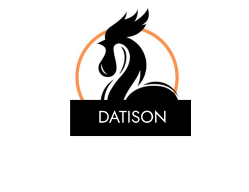 Datison